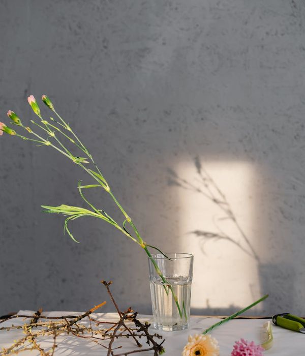 Person feeling serene and energetic in a bright, minimalist space.